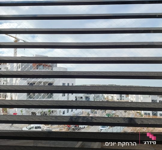רשת נגד יונים על חלון עם נוף עירוני